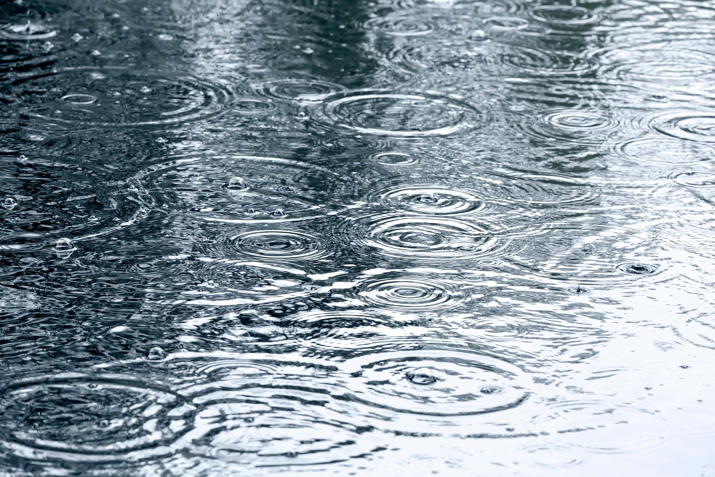 9 districts issued risk of heavy rain alert