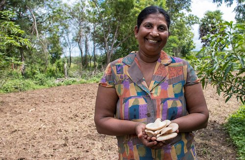 UNDP Community Forestry Project replants forests in Sri Lanka