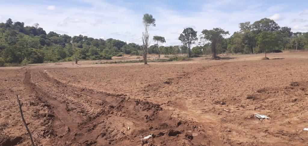 “Stop massive forest destruction in Mahaoya area” CEJ sends LOD