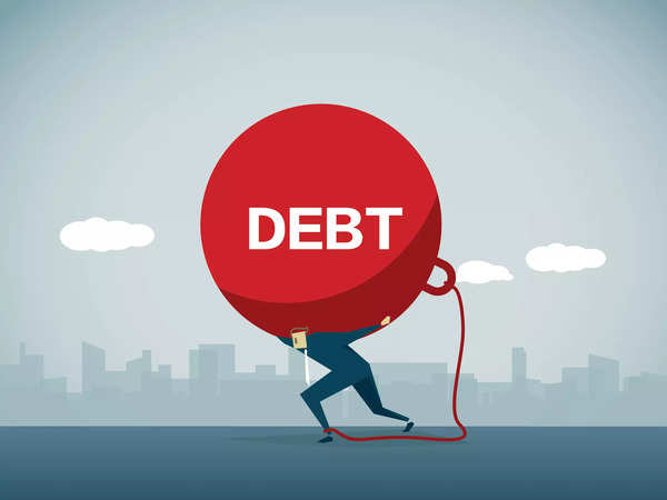 Individual debt burden soars to Rs. 1.2 million