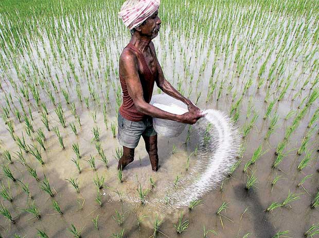 Farmers to get Urea sack for Rs. 10,000