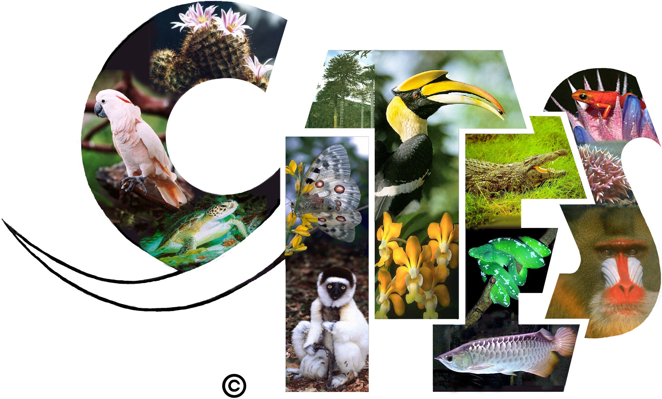Sri Lanka announces dates to host 18th Meeting of Conference of Parties to the CITES in 2019