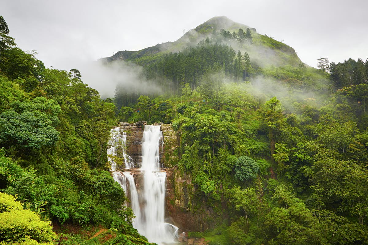 Visitors to Nuwara Eliya will require PHI clearance certificate