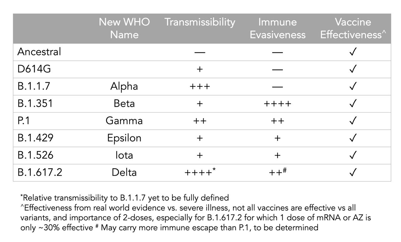 World Health Organization (WHO) announces a new naming system for Covid-19 variants using Greek letters